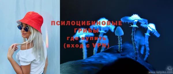 амф Белоозёрский