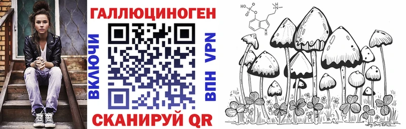 цены   Нижняя Тура  Псилоцибиновые грибы Psilocybine cubensis 